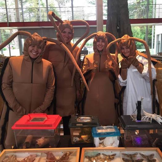 14572850_10154686608852244_4135746456093356493_n