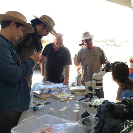 1919119_10154057734982244_1465652094090508857_n