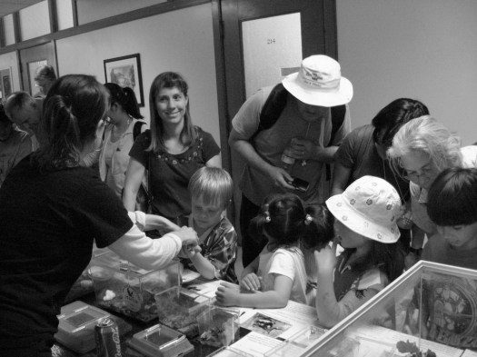 2408350435_ff6f0e712b_b