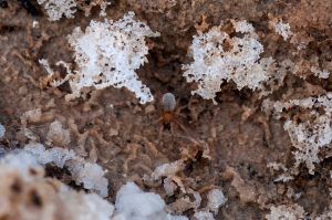 26129224462_e883e4b0ba_h