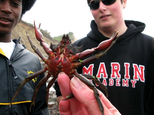 7058480389_5ceedfcd45_z