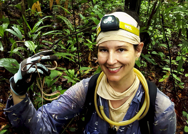 25456461197_db88737568_z