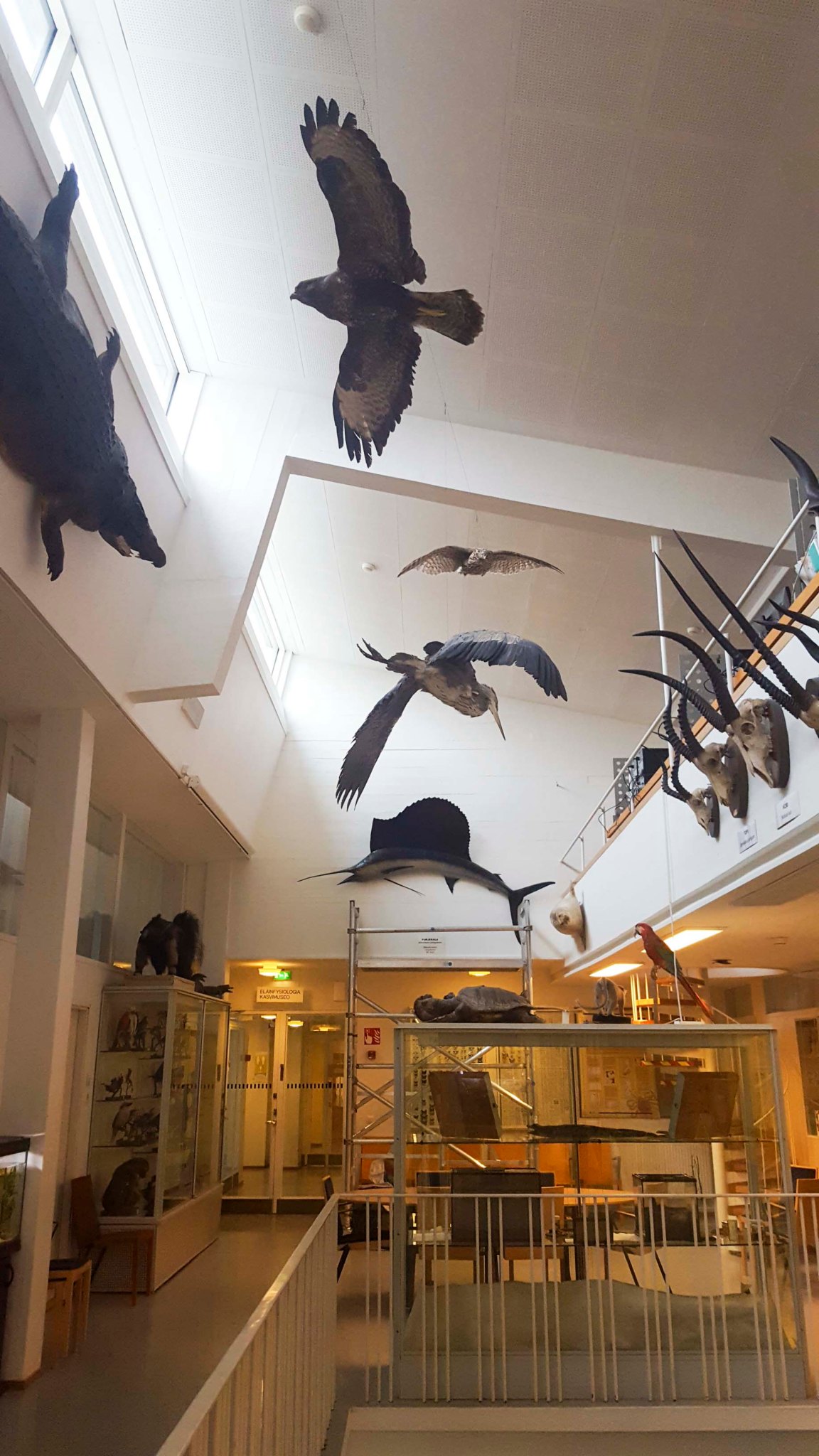 20180504_175901_museum