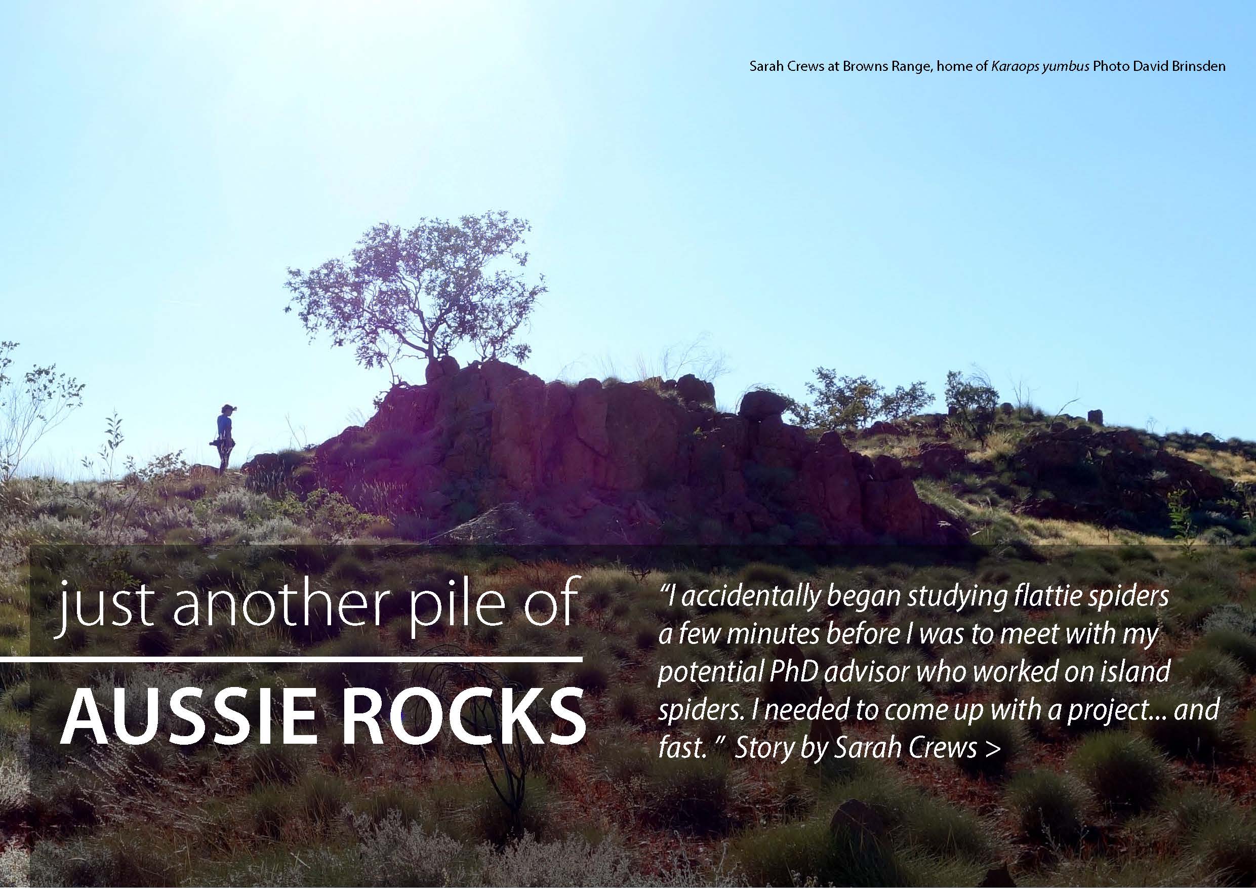 Pages from Australasian Arachnology 87-V08screws26-31