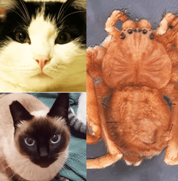 Screenshot_20181130-124501