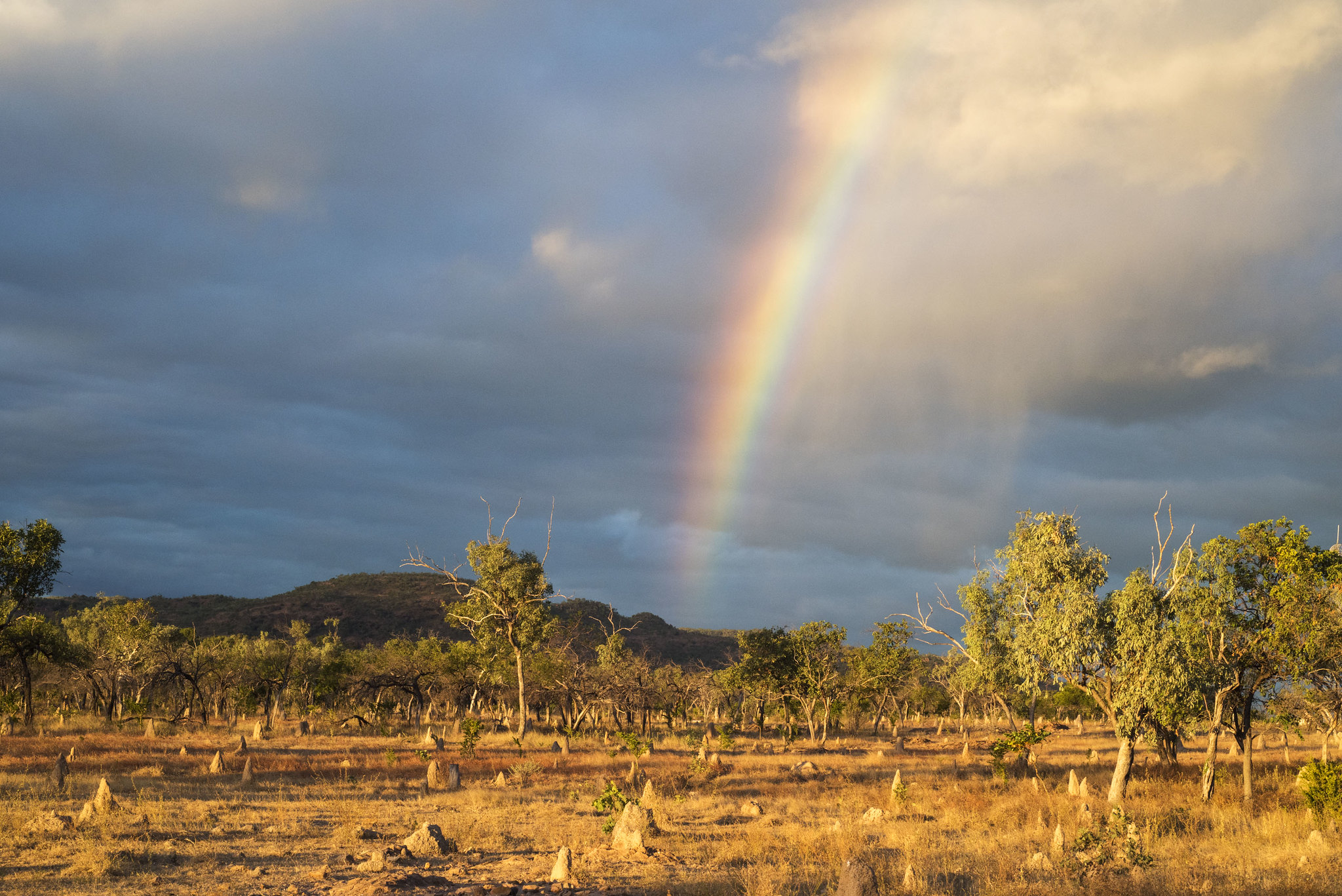 48064813416_a3e47999c1_k