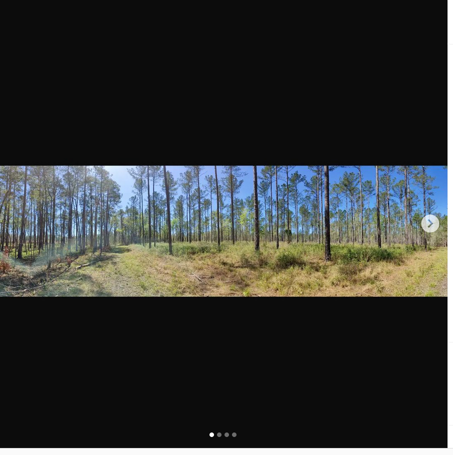 Screenshot 2022-10-18 134408