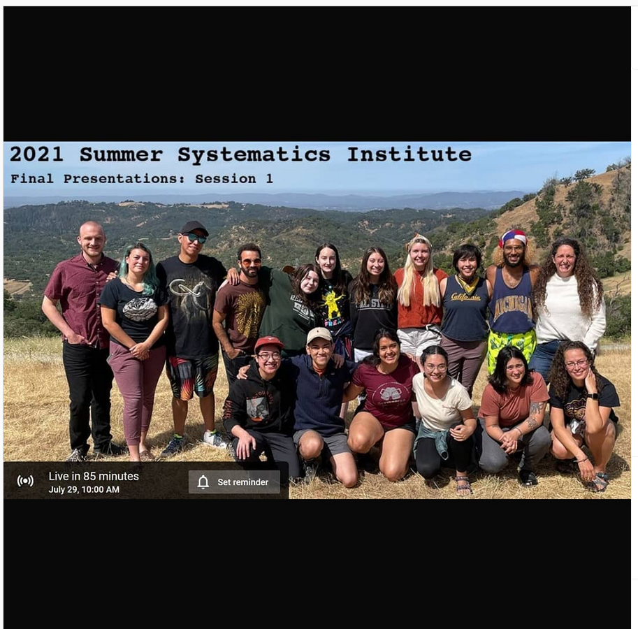 Screenshot 2022-10-18 134741