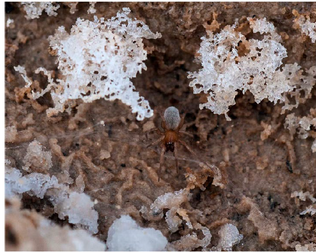 Screenshot 2022-10-18 135102