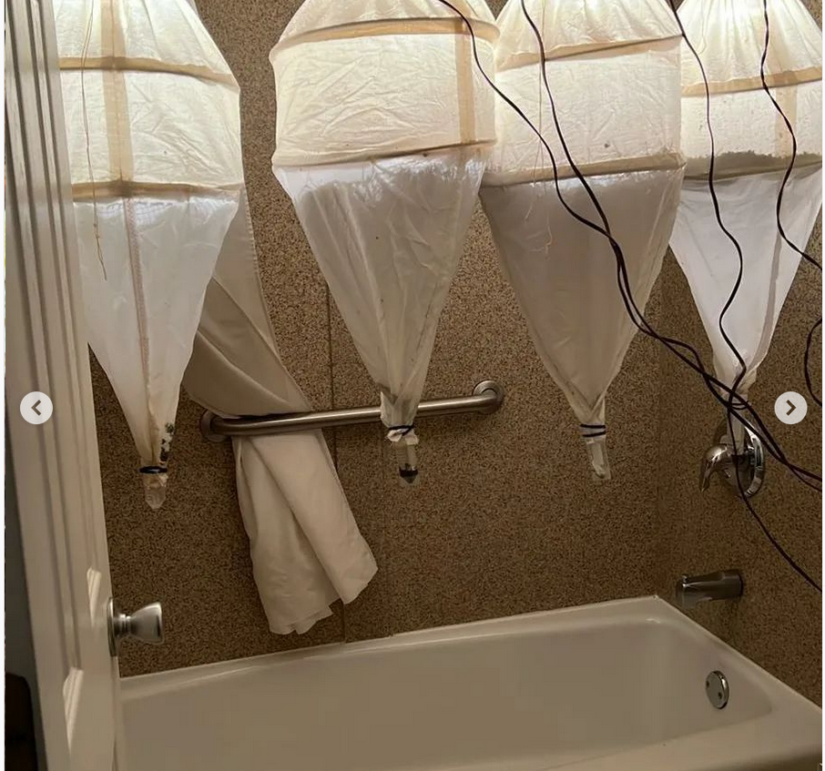 Screenshot 2022-10-18 135539