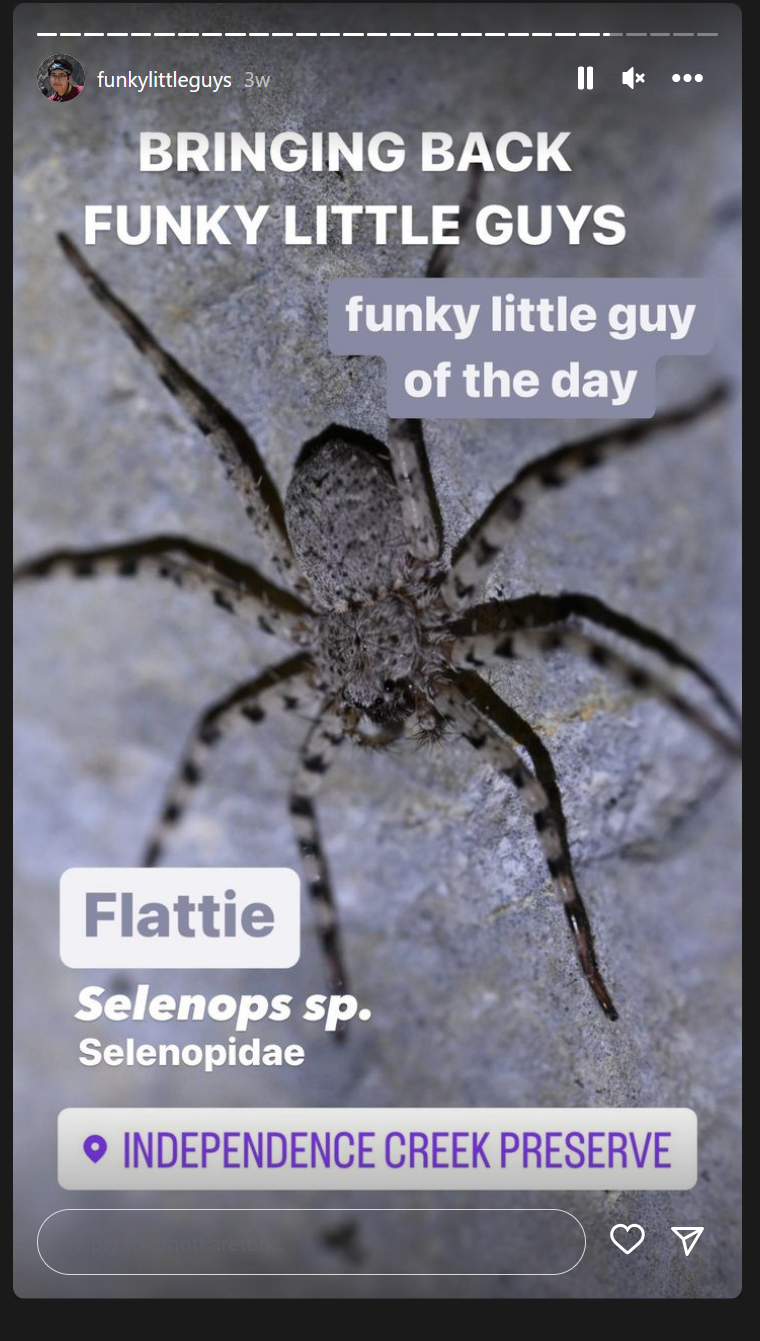 Screenshot 2022-10-18 145016