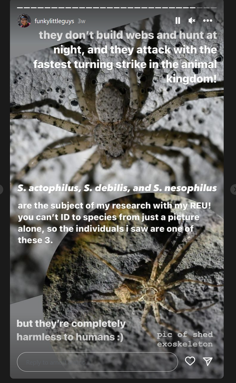 Screenshot 2022-10-18 145037